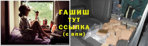 спиды Елизово