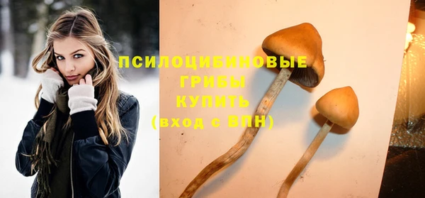 спиды Елизово