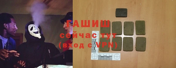 СК Ельня