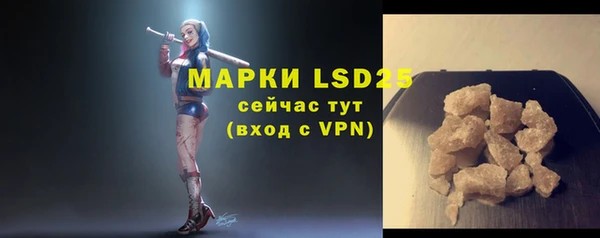 спиды Елизово