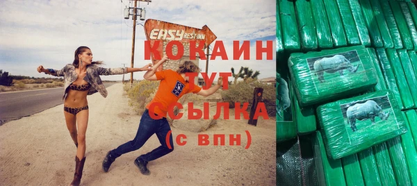 СК Ельня