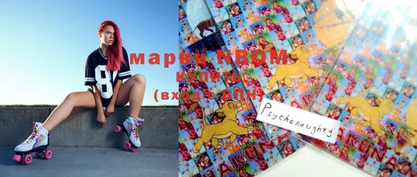СК Ельня