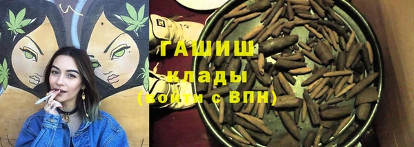 СК Ельня