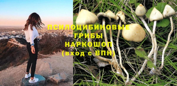 спиды Елизово