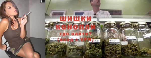 СК Ельня