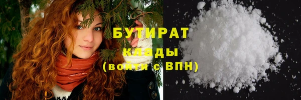 СК Ельня