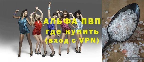 СК Ельня