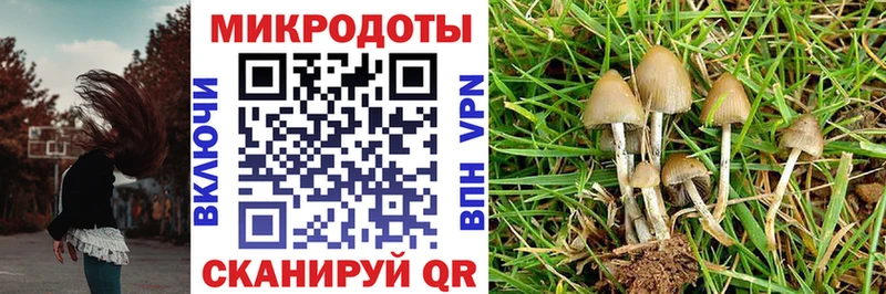 Галлюциногенные грибы Cubensis  Купить закладки  Гаджиево 